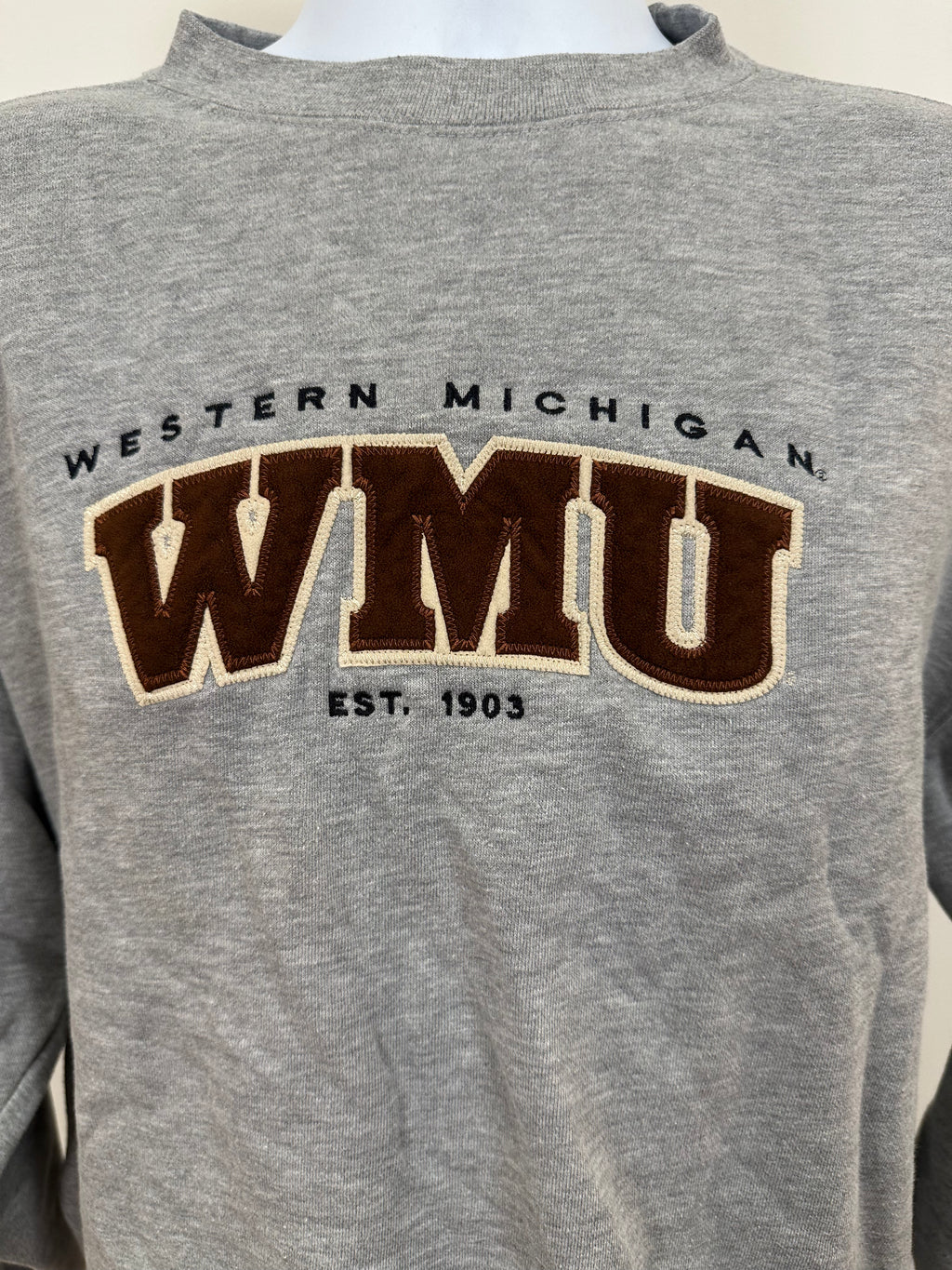 (Men's Medium) 2000s WMU Collegiate Crewneck