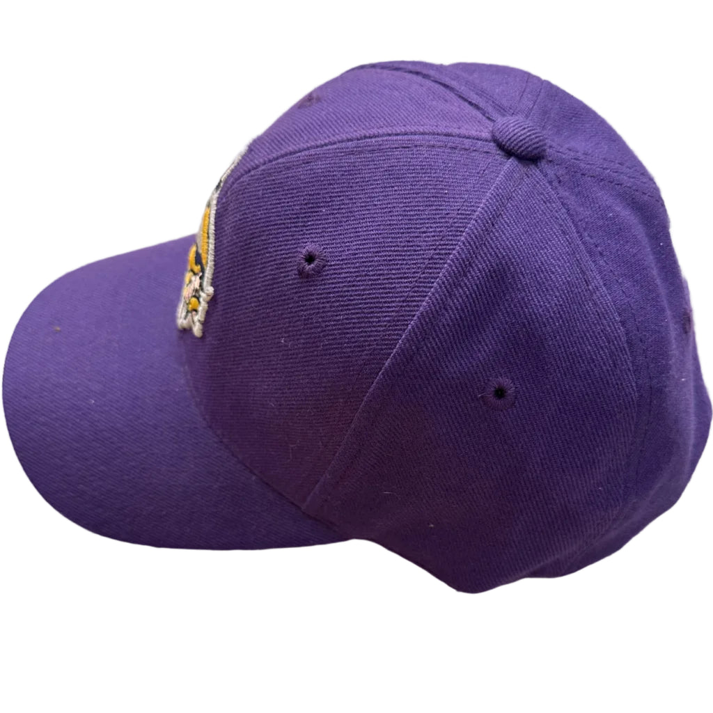 2000s Minnesota Vikings Sports Specialties Snapback