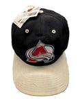 90s Colorado Avalanche Twins Enterprise Snapback