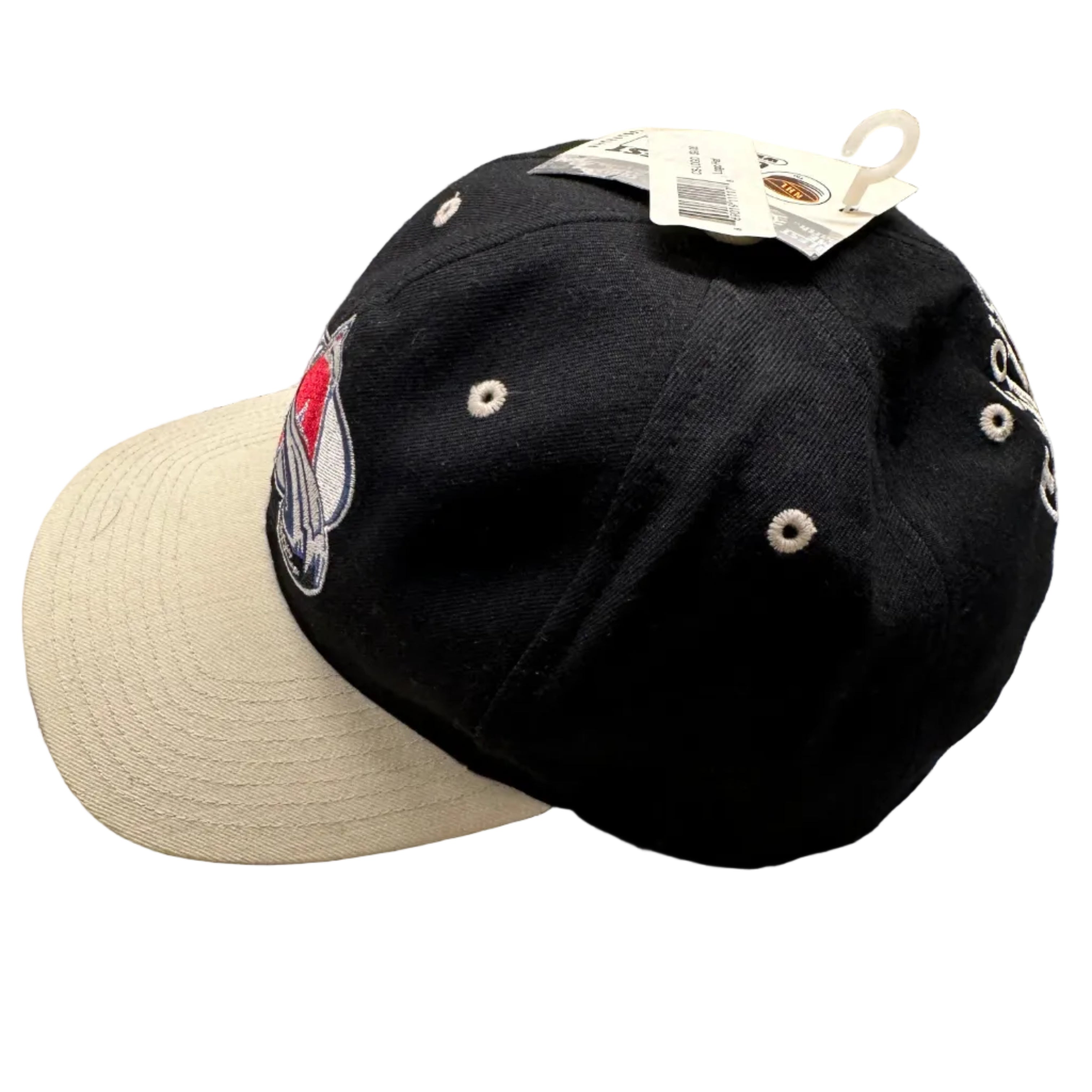 90s Colorado Avalanche Twins Enterprise Snapback