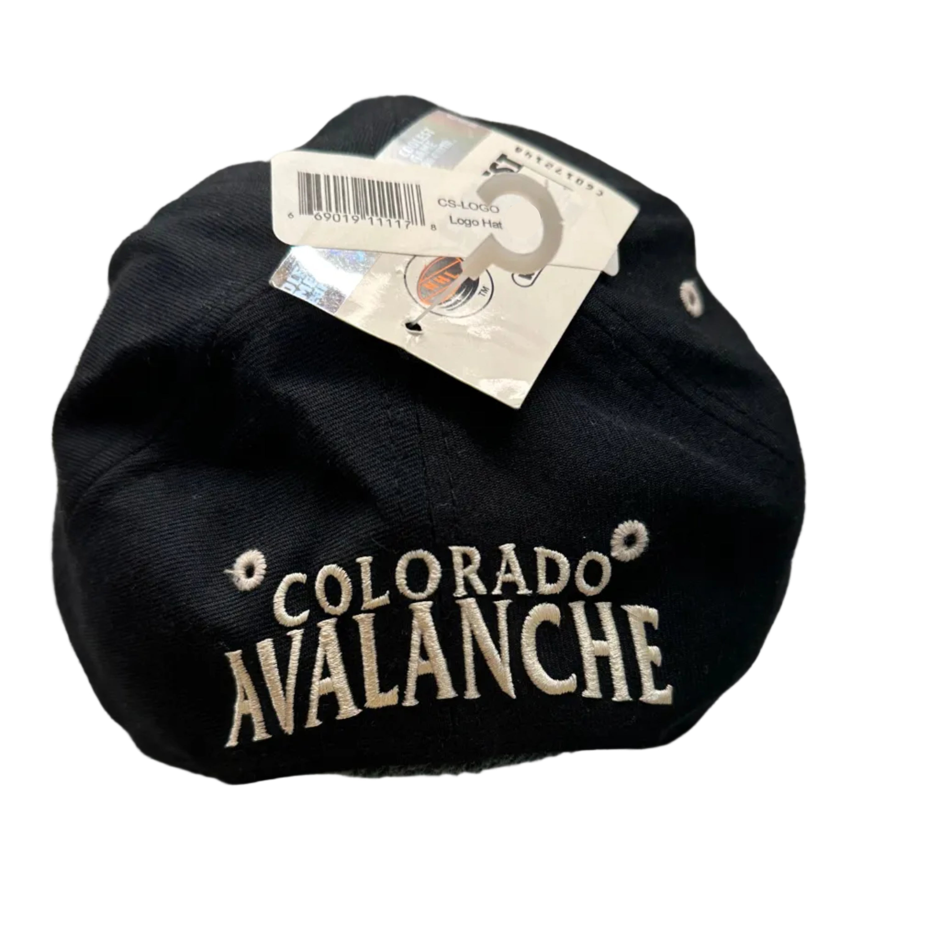 90s Colorado Avalanche Twins Enterprise Snapback