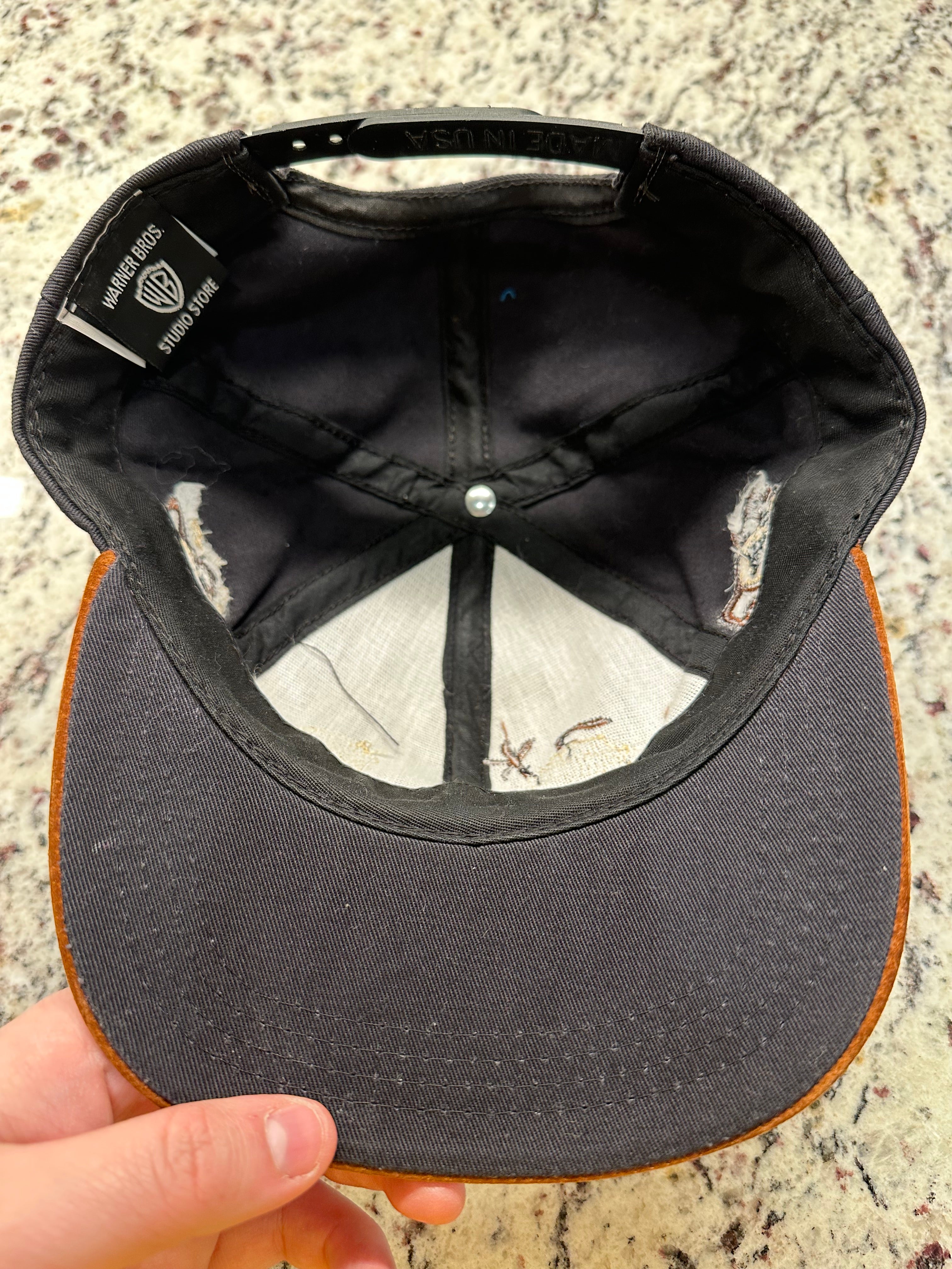 1996 Taz Looney Tunes Snapback