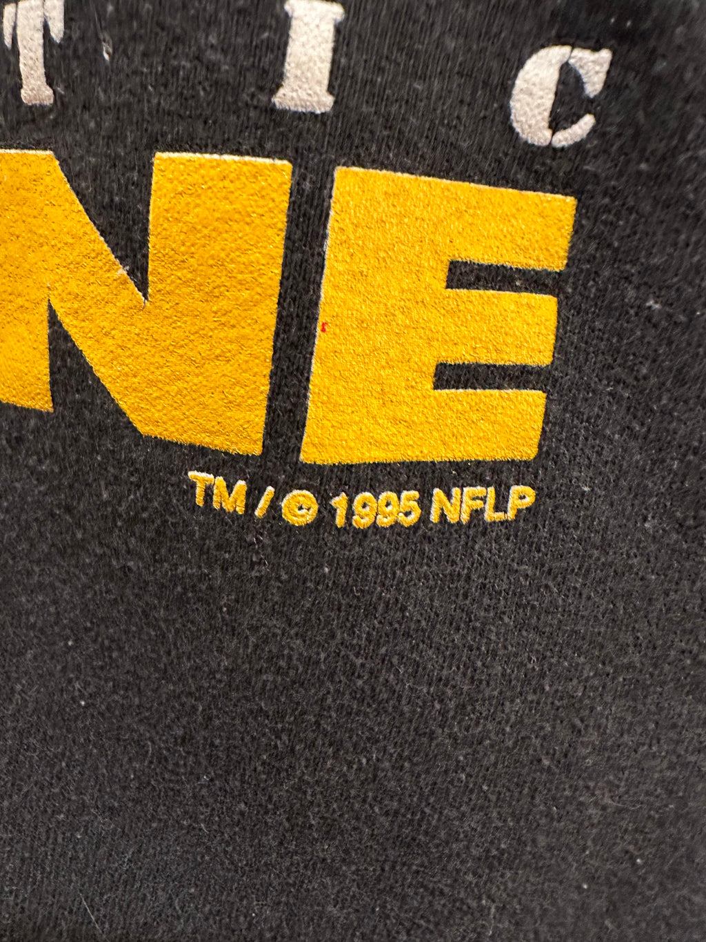 (Mens XL) 1995 Russell Pittsburgh Steelers Cropped Crewneck