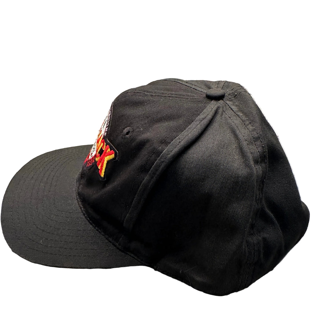 Vintage Twins Enterprise Chicago Bulls "Back To Back" Champs Snapback